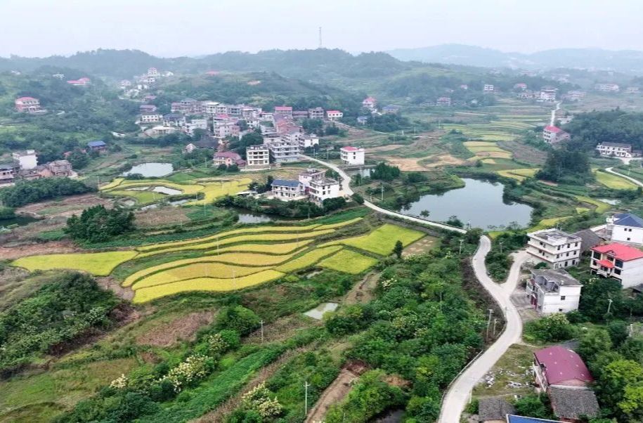 “空壳村”的蝶变！来看邵东这个村的振兴答卷