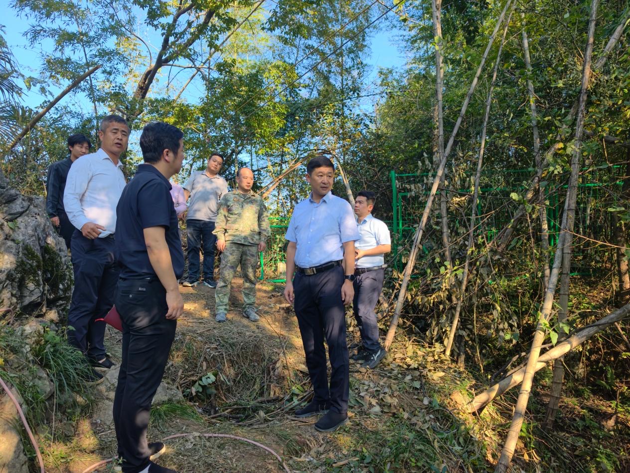 付凯军督导溶洞天坑山谷污染问题排查整治工作