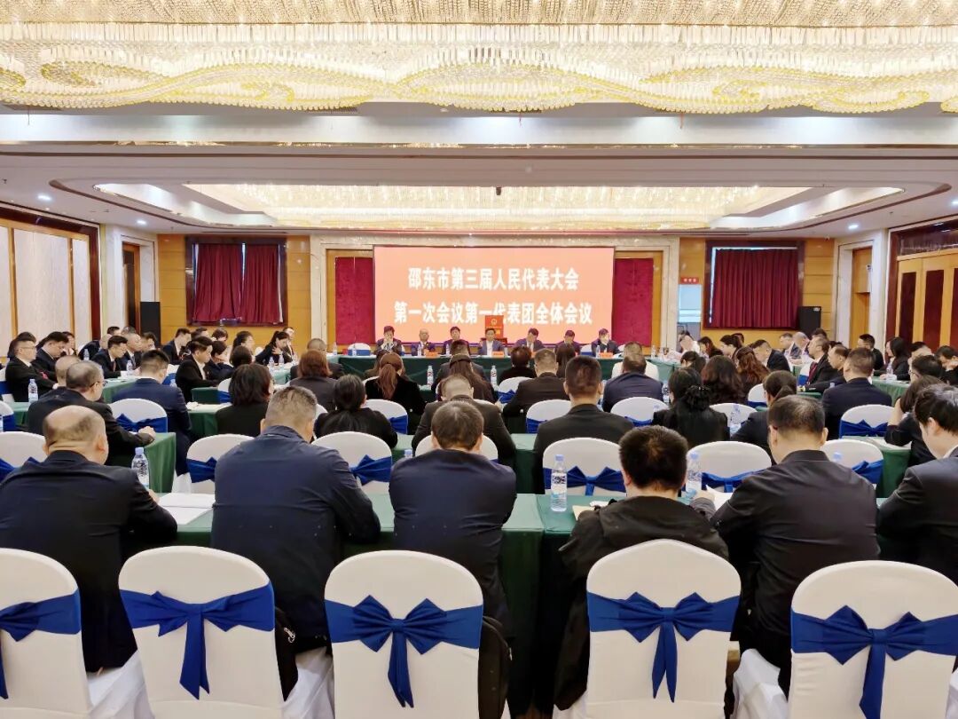 李国军、付凯军等市领导参加邵东市第三届人民代表大会第一次会议分团讨论