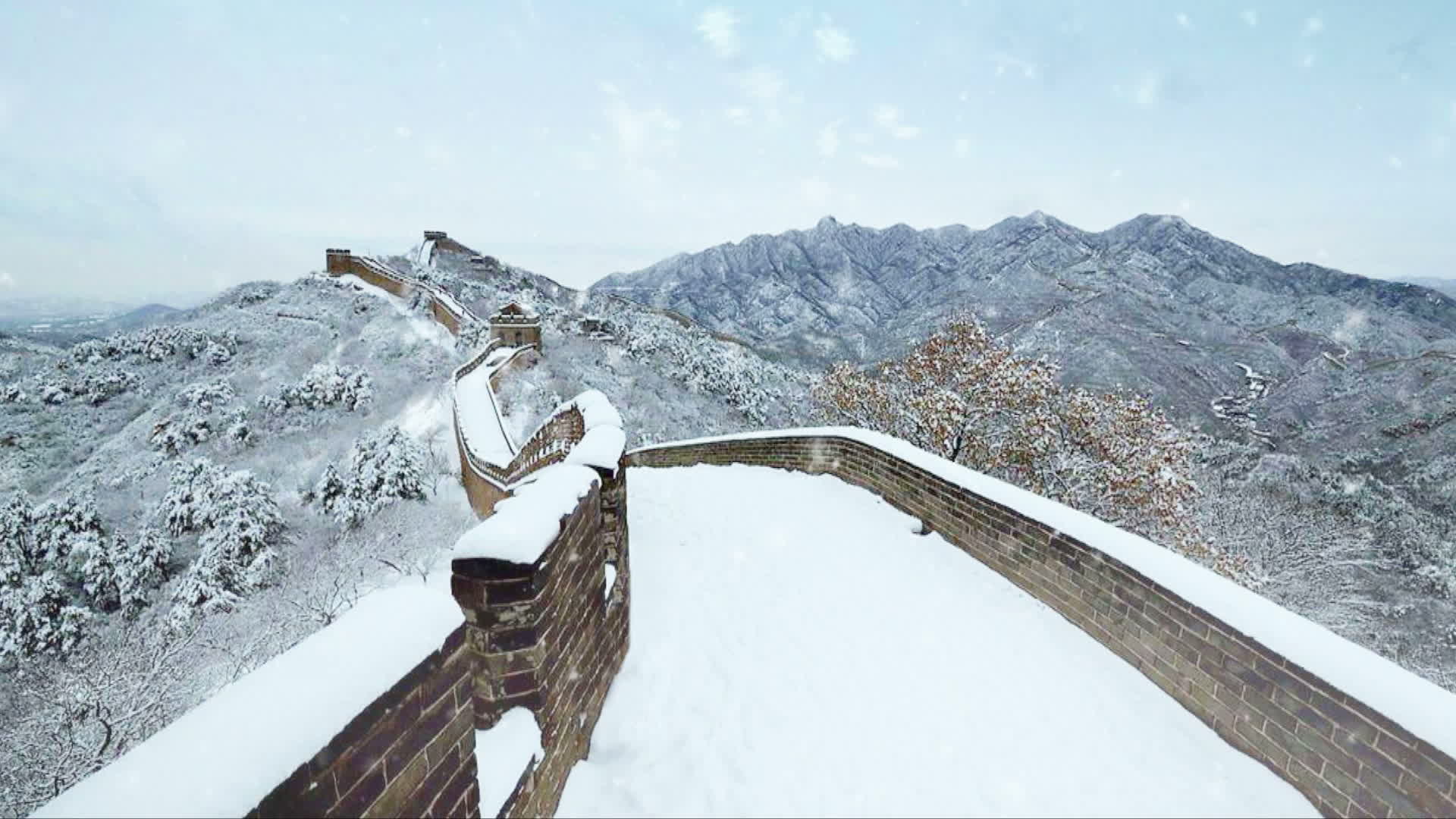 冬奥MV《美美与共》