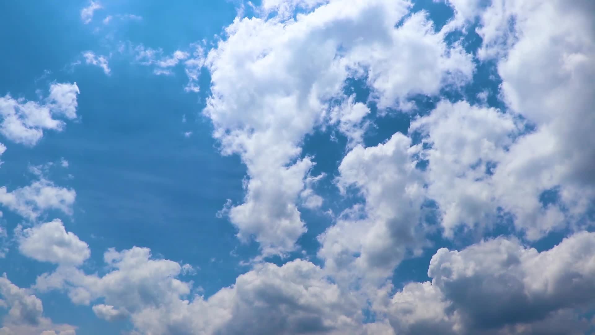 “感人瞬间”微视频 | 致敬了不起的她·奋斗