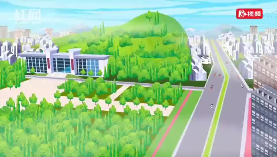 安全知识学起来 | 交通安全警示小课堂