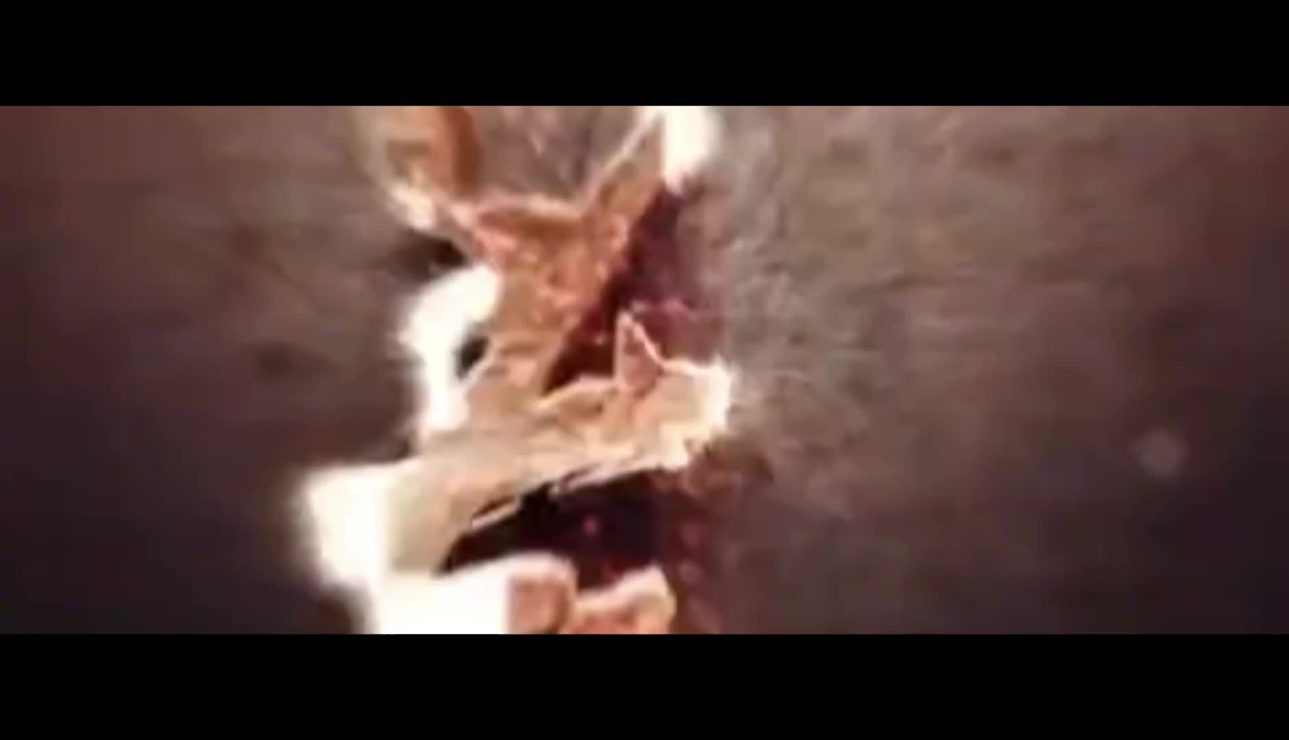 视频 | 农村道路交通安全警示片