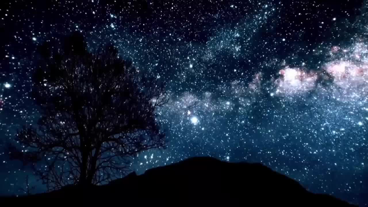 感人瞬间 | 乘风追梦