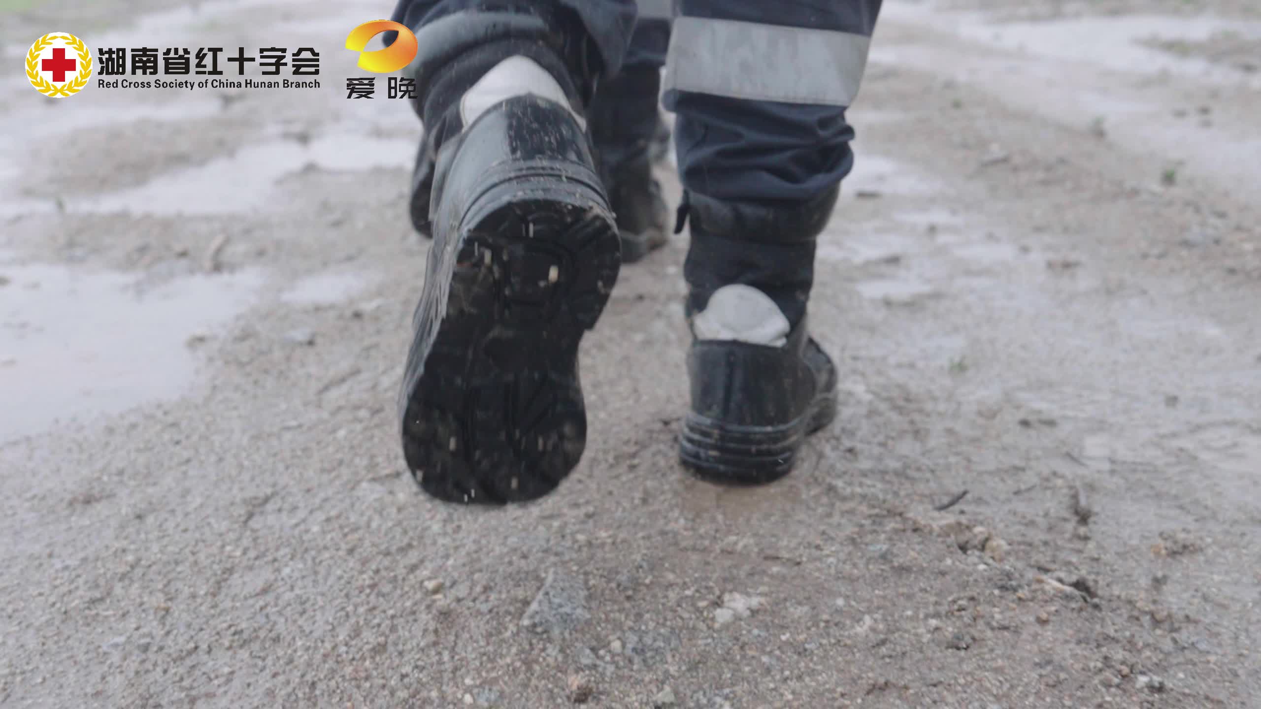 红十字博爱周公益短片 |《矢志人道 携手同行》